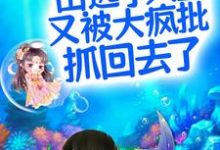 凤郁商沉婳为主角的小说叫什么？免费看呜！出逃小人鱼又被大疯批抓回去了-牛皮文学