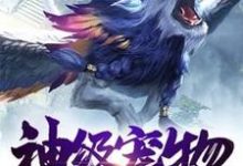 主人公叫风亦修沈如玉的小说哪里免费看-牛皮文学