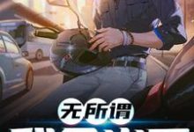 苏禾沈月小说完结版在线阅读，无所谓，我会出手免费看-牛皮文学