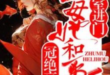 完结版《外室进门？主母她和离后冠绝京城》章节阅读-牛皮文学