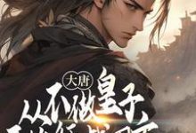 《大唐：从不做皇子开始征战四方》完整版小说免费阅读-牛皮文学