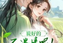 风潇潇陆舟渊小说完整版《说好的不谈情呢！王爷请自制》免费阅读-牛皮文学