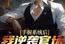 手握系统后，我逆袭官场权势巅峰小说的最新章节在哪里更新？免费追踪阅读-牛皮文学