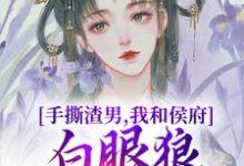 谢婉茹谢承启小说《手撕渣男，我和侯府白眼狼父子拼了》完整版免费阅读-牛皮文学