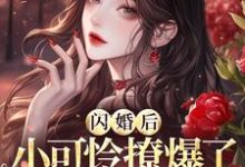 完结版《闪婚后，小可怜撩爆了首富大佬》免费阅读-牛皮文学