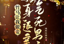 免费在线阅读竹马让我做妾，转身退亲气死男主小说的正规网站有哪些？-牛皮文学