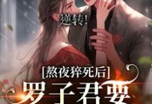 已完结小说《逆转!罗子君要变职场新星》章节免费阅读-牛皮文学