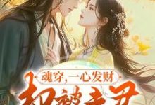 魂穿，一心发财，却被夫君宠成宝这本小说在哪里可以看？哪里有免费试读章节？-牛皮文学