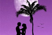 愚孝老公不离婚？我把他家一锅端了这本小说完结了吗？免费查看最新章节-牛皮文学