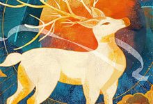 《奈何惊鸿入我心》小说段知许江疏桐章节章节免费在线阅读-牛皮文学