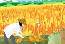 完结版《愿我心若惊鸿骄阳》免费阅读-牛皮文学