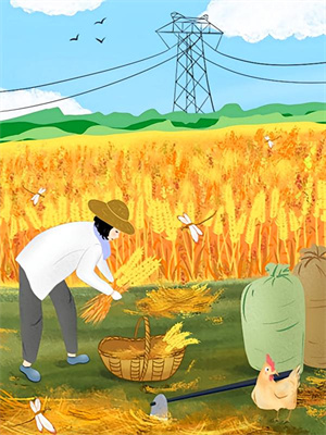 完结版《愿我心若惊鸿骄阳》免费阅读