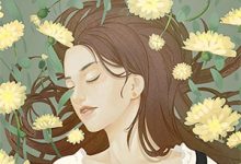 求流年再无过往小说的全文免费阅读链接-牛皮文学